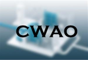 CWAO+工艺处理含盐废水